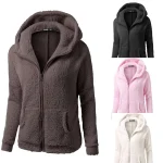 Women Autumn Winter Warm Hoodie Jacket Casual Female Hoodies Sweatershirt Zipper Coat Solid Soft Fleece Teddy Bear Wool Coats